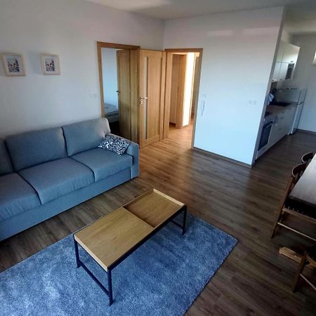 Apartman Violetta Nové Město nad Metují エクステリア 写真
