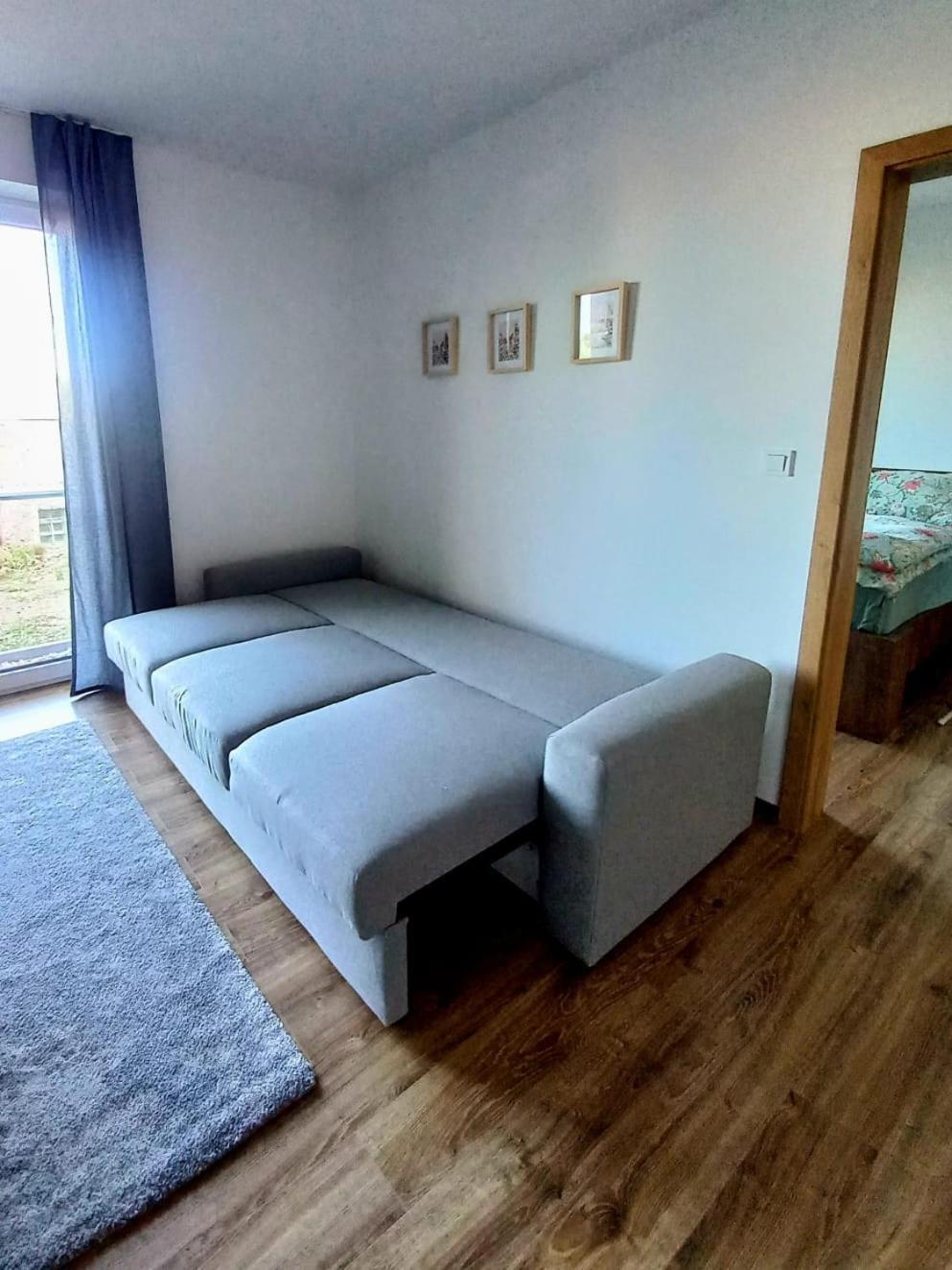 Apartman Violetta Nové Město nad Metují エクステリア 写真